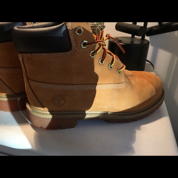 Timberlands - Picture 7 of 7